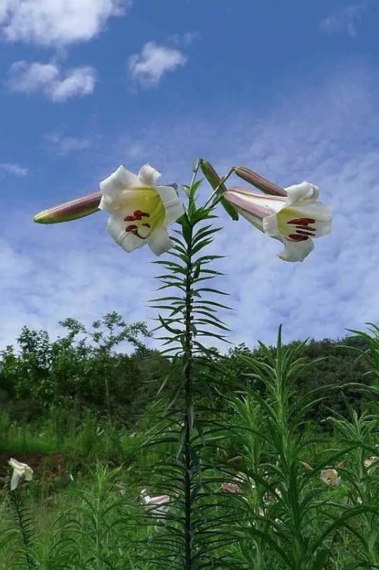 从主祷文认识基督徒与物质的关系