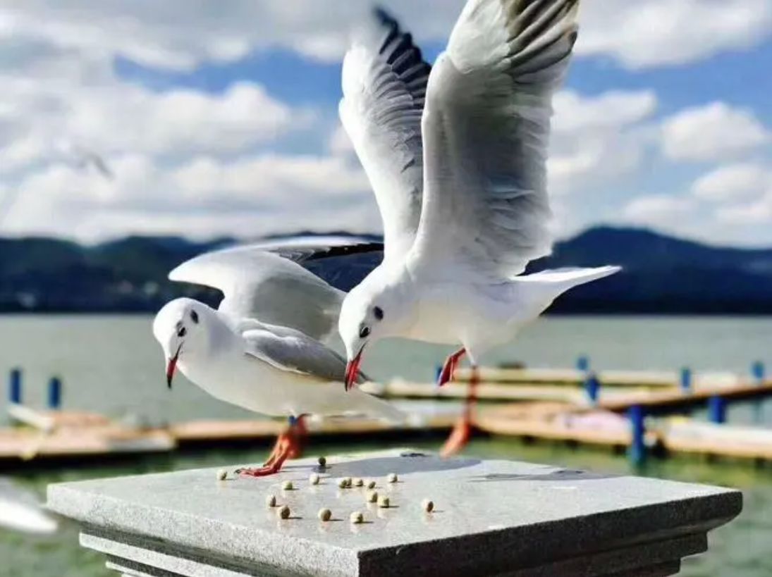 谨防虚伪的道理