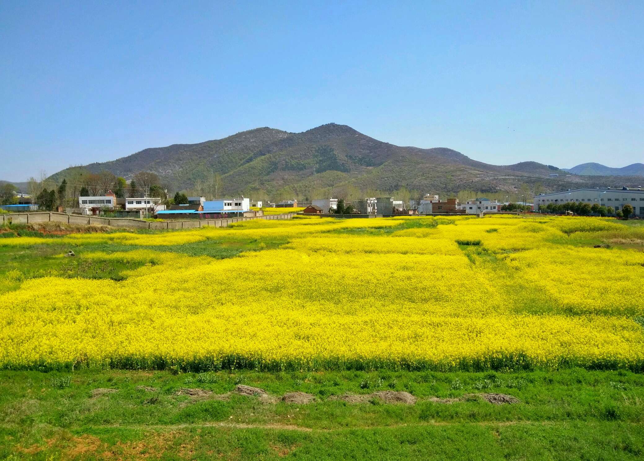 简朴生活的自由