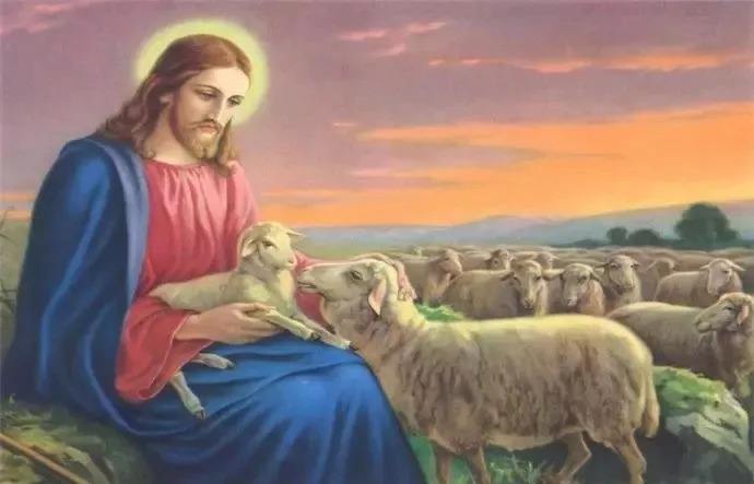 神创造的指头(图2)