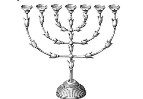 在神面前长有灯光