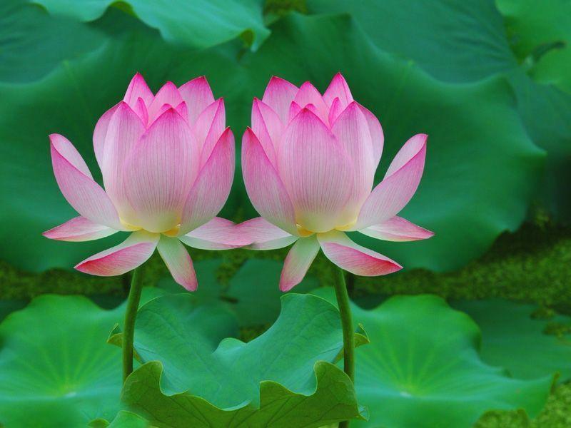 活出“相称”的生命