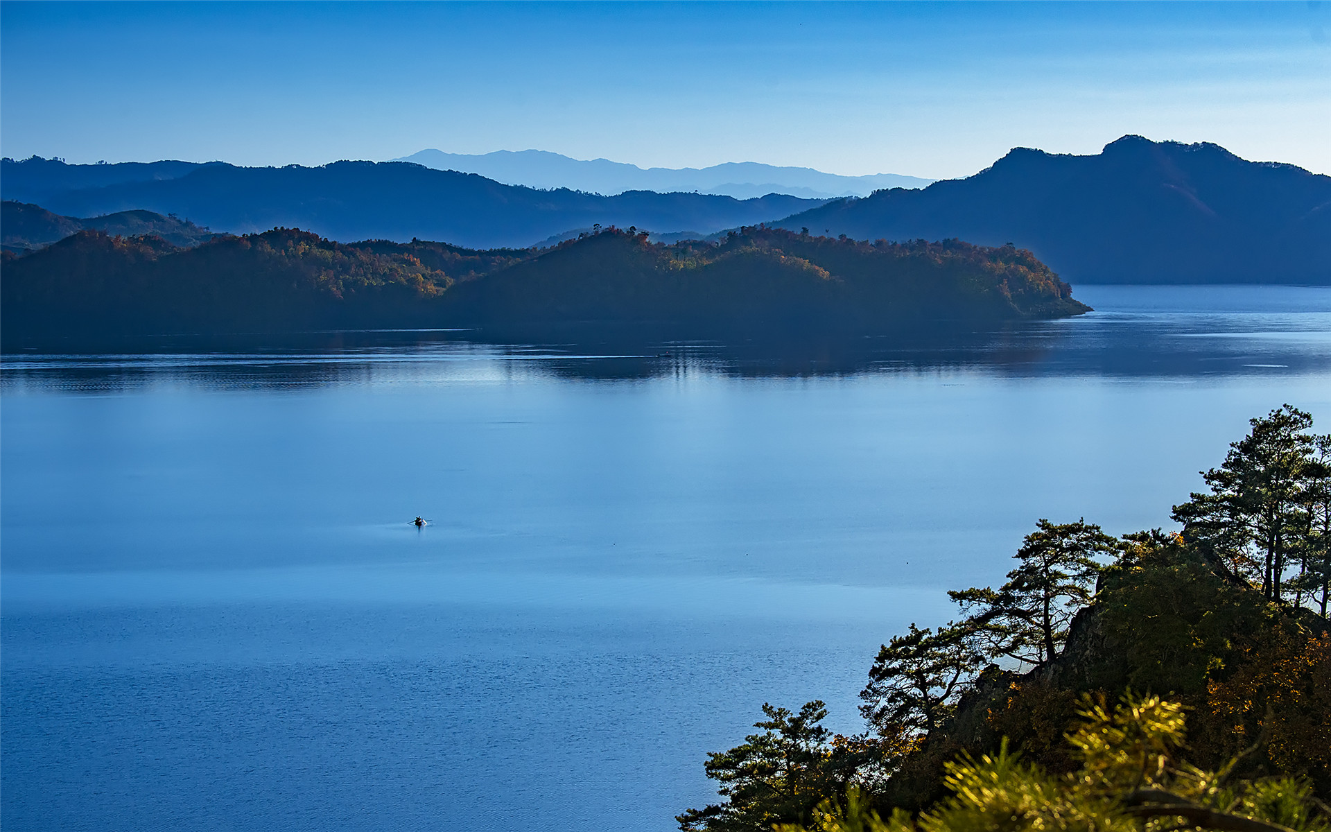 寻找生命之美的泉源